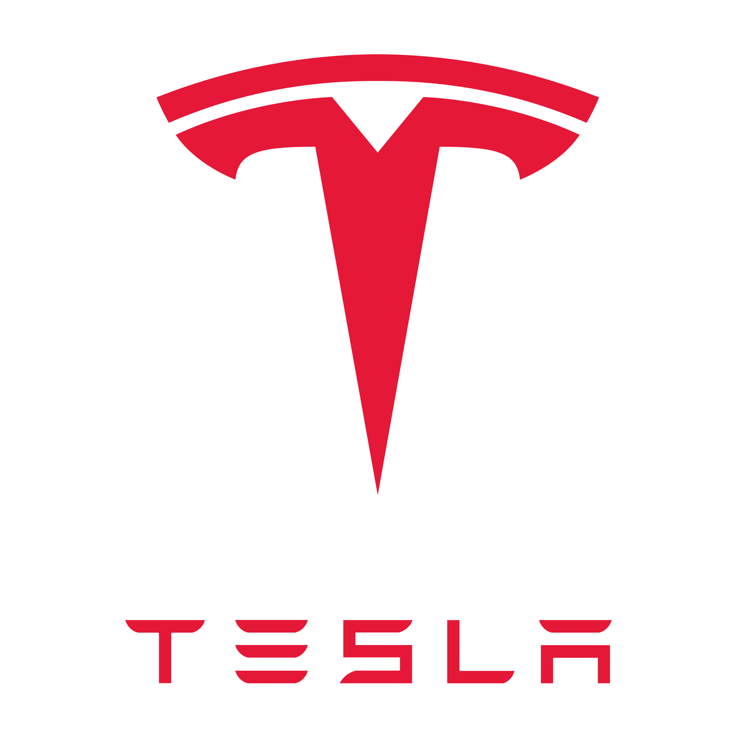 ฟิล์มกันรอย Tesla